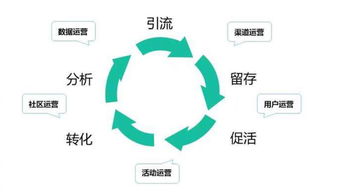 社群运营深度拆解 网络运营服务中的前景与机遇