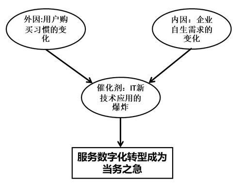 服务数字化转型 网络运营服务的精准定位与前瞻规划