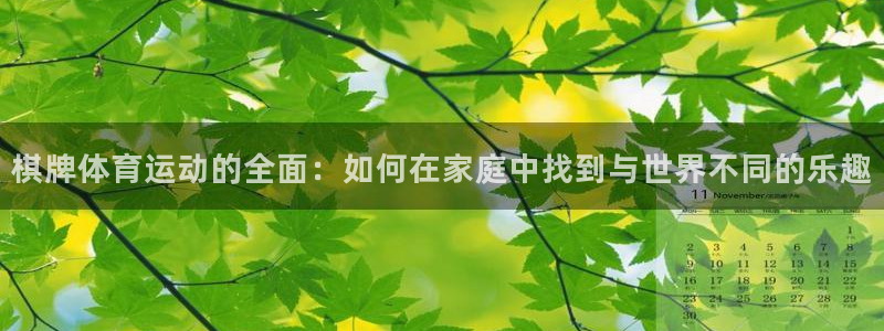 关键词：棋牌体育运动的全面：如何在家庭中找到与世界不同的乐趣