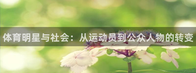 v66体育：体育明星与社会：从运动员到公众人物的转变