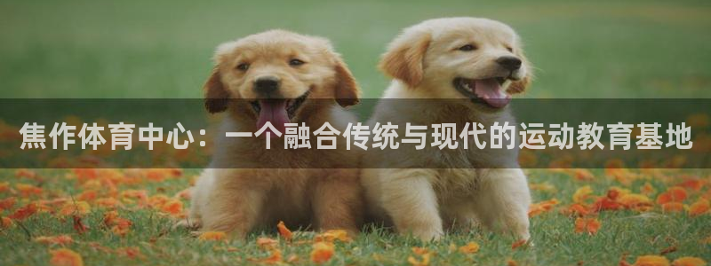 v66体育平台：焦作体育中心：一个融合传统与现代的运动教育基地
